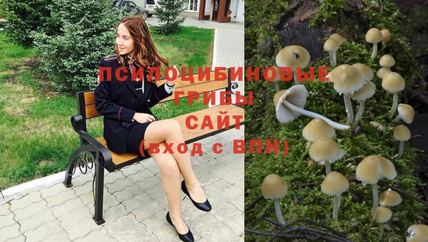 ПСИЛОЦИБИНОВЫЕ ГРИБЫ Алексеевка