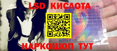 СК Новокубанск
