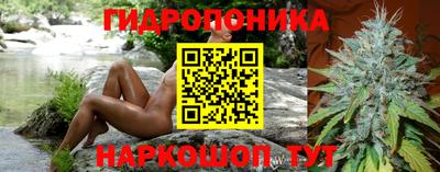 apvp Новозыбков